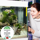 🔥Vendita calda🔥Potente tavoletta per la purificazione dell'acqua dell'acquario（SCONTO DEL 50%）